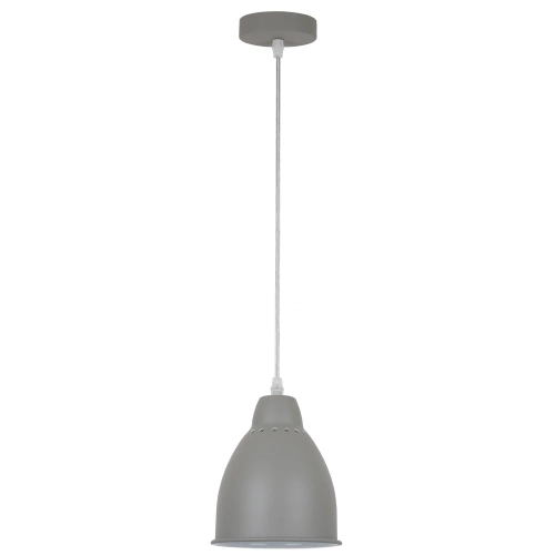 Купить Подвесной светильник Arte Lamp BRACCIO A2054SP-1GY