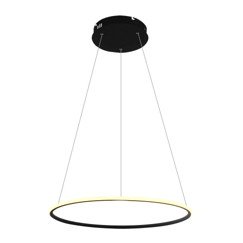 Купить Подвесная люстра Arte Lamp RAPID A2500SP-1BK