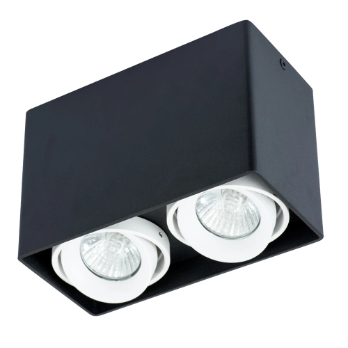 Купить Точечный накладной светильник Arte Lamp PICTOR A5655PL-2BK