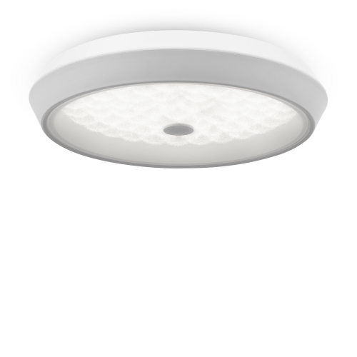 Купить Потолочный светильник Freya FR10012CL-L24W