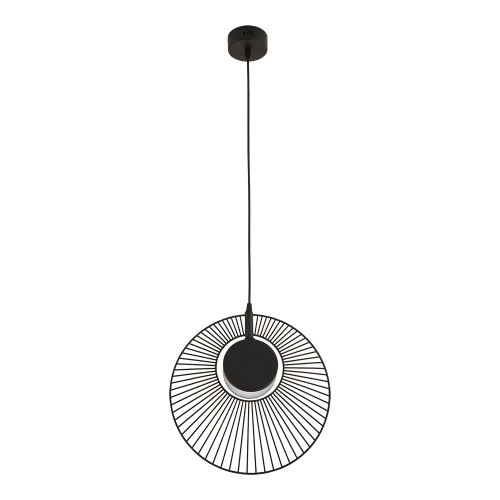 Купить Подвесной светильник Arte Lamp LAYLA A2808SP-1BK