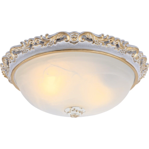 Купить Потолочный светильник Arte Lamp TORTA A7152PL-2WG