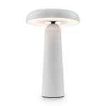 Аккумуляторный светильник Freya FR6109TL-L4W