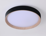 FZ1324 BK/LWD черный/светлое дерево IP20 41W 3000-6400K D390*70 (ПДУ ИК)