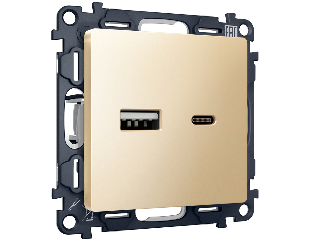 MA611010 Комплект механизма розетки ALFA Шампань 2USB A+C 20W (быстрая зарядка) QUANT (AP6110, VM177)