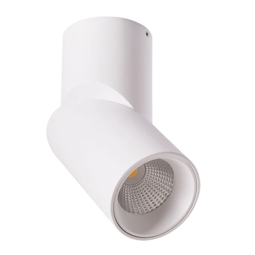 Купить Спот Arte Lamp MEISU A7717PL-1WH