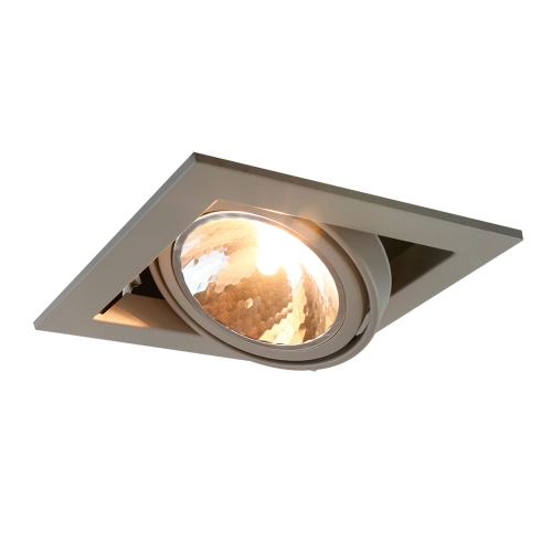 Купить Карданный светильник Arte Lamp CARDANI SEMPLICE A5949PL-1GY