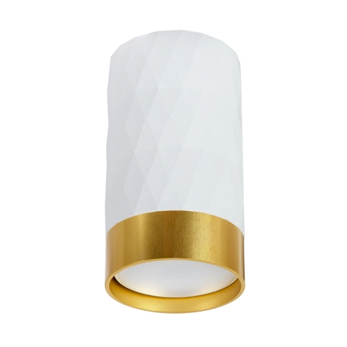 Купить Точечный накладной светильник Arte Lamp FANG A5558PL-1WH