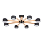 Потолочная люстра Arte Lamp TENDA A1624PL-8BK