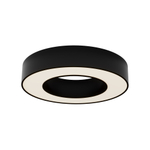 Потолочный светильник Technical C093CL-24W3K-B