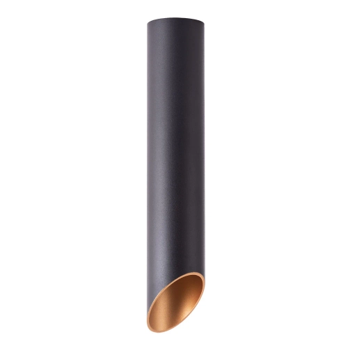 Купить Точечный накладной светильник Arte Lamp PILON-GOLD A1536PL-1BK