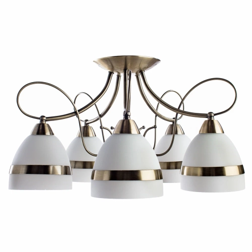 Купить Потолочная люстра Arte Lamp NOEMI A6192PL-5AB