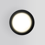 Уличный потолочный светильник Light IP65 35128/H черный