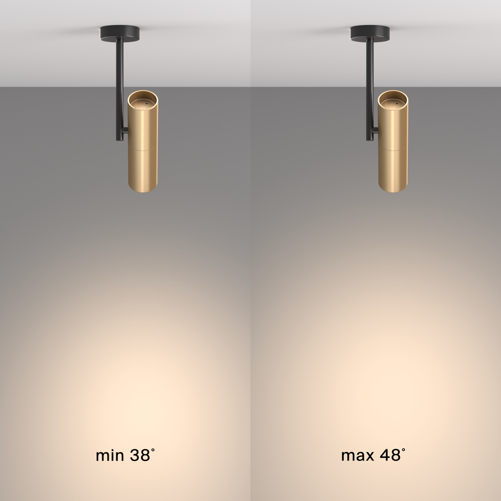 Потолочный светильник Technical C020CL-01GB