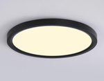 FZ1908 BK черный IP54 35W 3000K-6500K CCT-переключатель D450*25 (Без ПДУ)