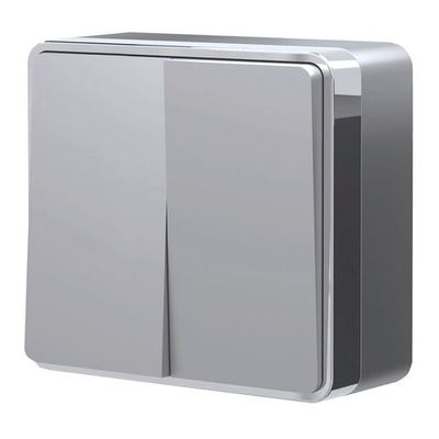Выключатель двухклавишный Gallant серебряный W5020006
