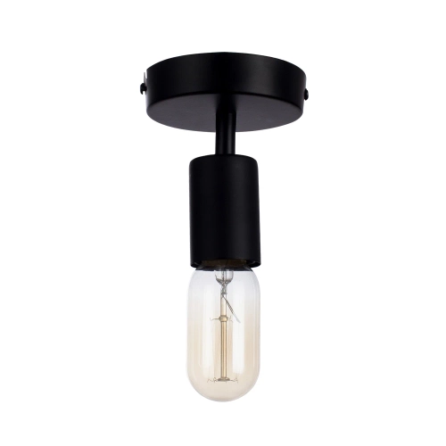 Купить Потолочный светильник Arte Lamp FUORI A9184PL-1BK