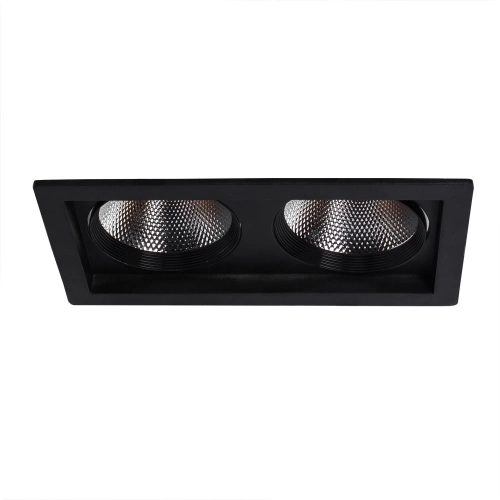 Купить Точечный встраиваемый светильник Arte Lamp PRIVATO A7007PL-2BK