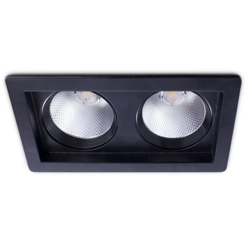Купить Точечный встраиваемый светильник Arte Lamp PRIVATO A7018PL-2BK