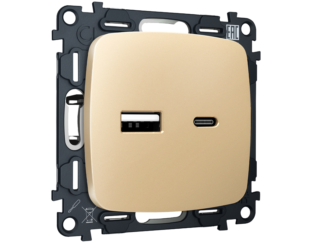 MO611010 Комплект механизма розетки OMEGA Шампань 2USB A+C 20W (быстрая зарядка) QUANT (OP6110, VM177)