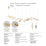 TR5722-SB Электрический коннектор прямой для трека SHINE BASE, 48V DC, IP20, сатинированная латунь, алюминий