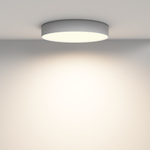 Потолочный светильник Technical C032CL-45W3K-RD-W