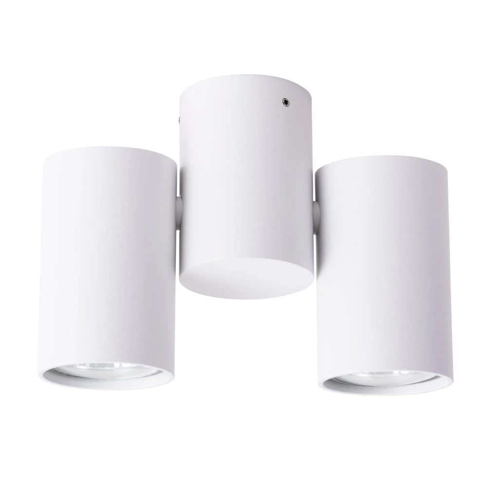 Спот Arte Lamp GAVROCHE A1511PL-2WH