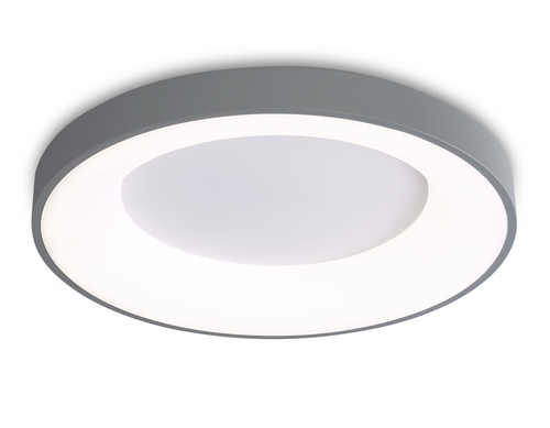 Купить FZ1402 GR серый IP20 48W 3000K-6500K D500*50 (ПДУ ИК)