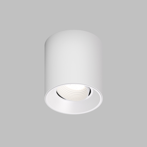 Купить DK3090-WH Светильник накладной IP 20, 10 Вт, GU5.3, LED, белый/белый, пластик