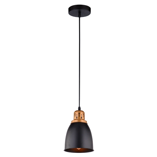 Купить Подвесной светильник Arte Lamp EURICA A4248SP-1BK