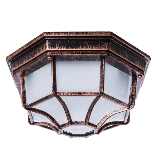 Купить Уличный потолочный светильник Arte Lamp PEGASUS A3100PL-1AC