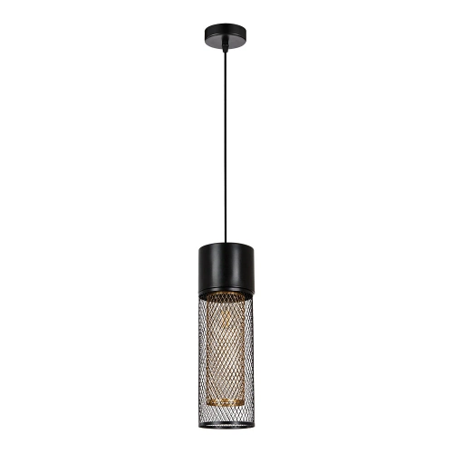 Купить Подвесной светильник Arte Lamp CASTELLO A7068SP-1BK