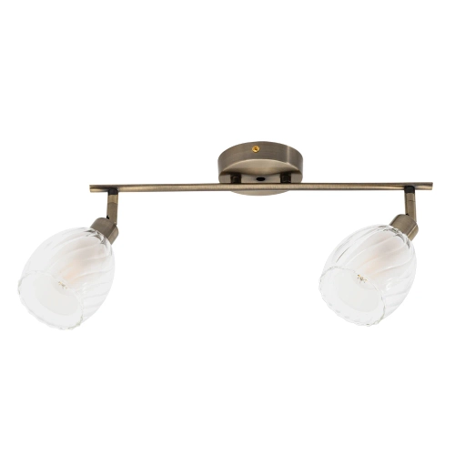 Купить Спот Arte Lamp BIHAM A3184PL-2AB