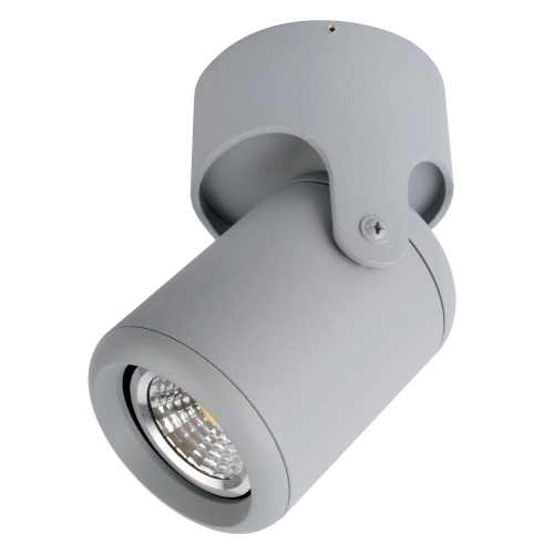 Купить Спот Arte Lamp LIBRA A3316PL-1GY