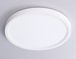 FZ1901 WH белый IP54 13W 3000K-6500K CCT-переключатель D230*25 (Без ПДУ)