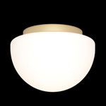Потолочный светильник Maytoni MOD270CL-01G