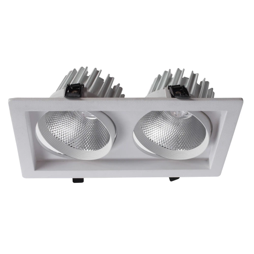 Купить Точечный встраиваемый светильник Arte Lamp PRIVATO A7018PL-2WH