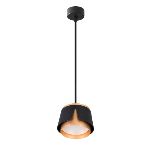 Купить Подвесной светильник Arte Lamp AMAKS A8028SP-1BK
