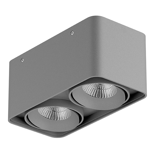 Купить 052329-IP65 Светильник MONOCCO LED 2х10W 1200LM 30G СЕРЫЙ 3000K