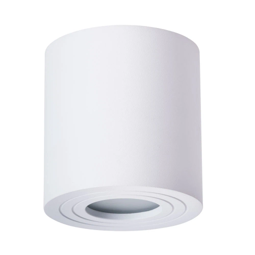 Купить Точечный накладной светильник Arte Lamp GALOPIN A1460PL-1WH