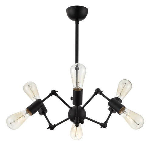 Купить Люстра на штанге Arte Lamp ROOTS A9190LM-6BK