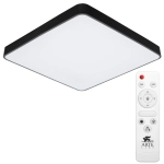 Потолочный светильник Arte Lamp SCENA A2669PL-1BK