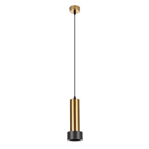 Купить Точечный подвесной светильник ARTE LAMP RAN A3147SP-1PB