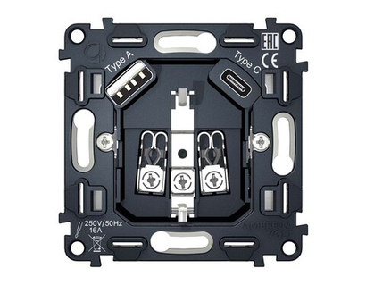 VM160 Механизм электрической розетки 2USB A+C 20W (быстрая зарядка) с/з на винтовых зажимах QUANT