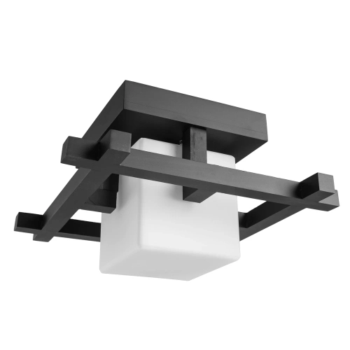 Купить Потолочный светильник Arte Lamp WOODS A8252PL-1CK