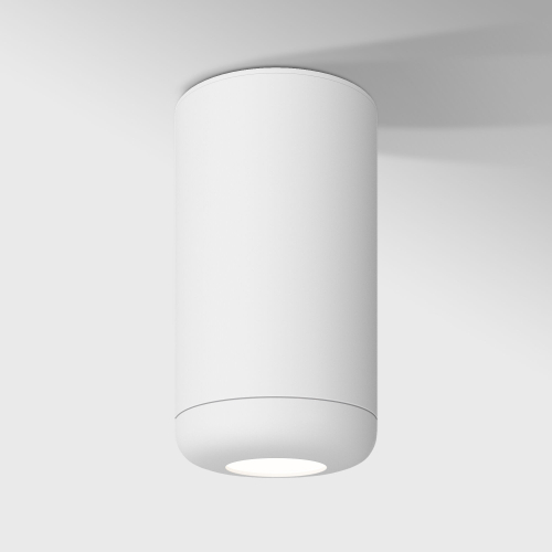 Купить Светильник потолочный светодиодный 10W 4000K белый 25044/LED
