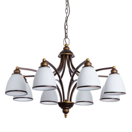 Купить Подвесная люстра Arte Lamp BONITO A9518LM-8BA