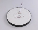 FZ1902 BK черный IP54 13W 3000K-6500K CCT-переключатель D230*25 (Без ПДУ)