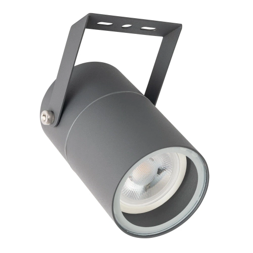 Купить Прожектор Arte Lamp MISTERO A3303AL-1GY