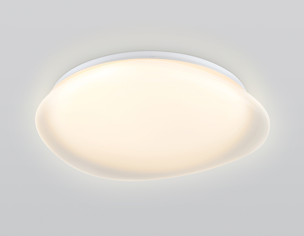 FZ1610 FR матовый IP20 40W 3000-6500K+RGB 410*100 (ПДУ ИК)